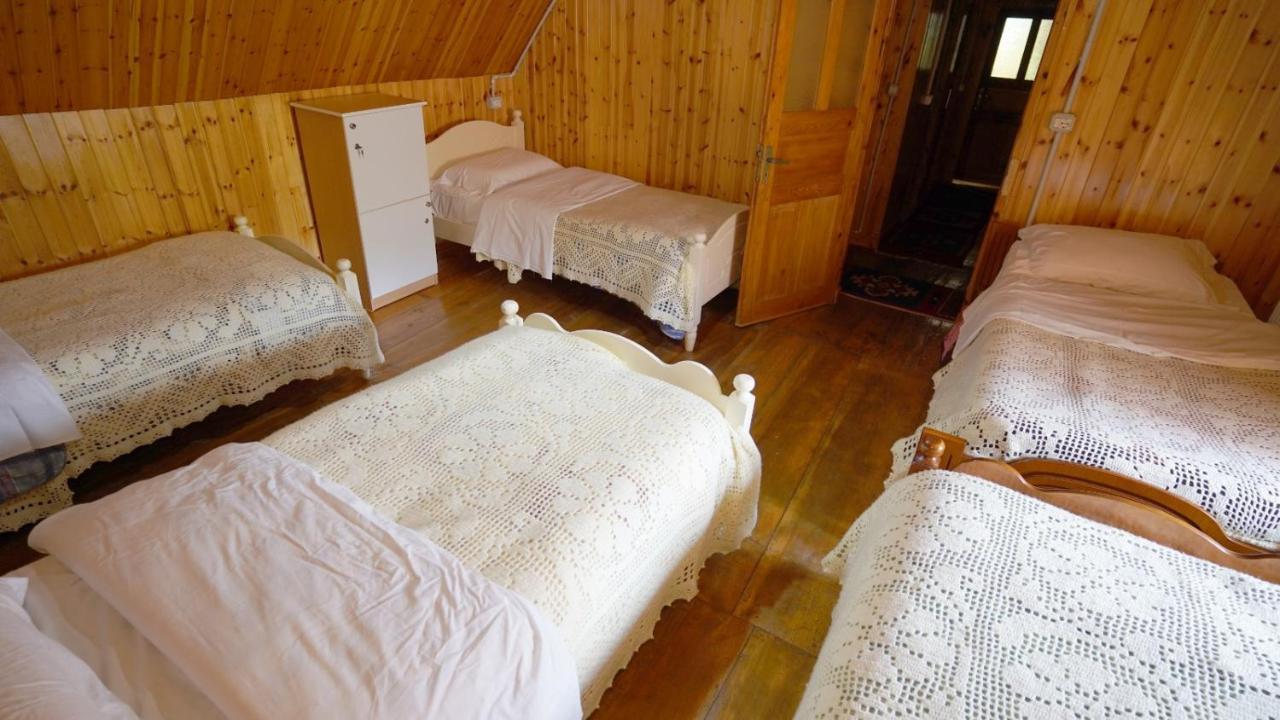 Bujtina Tradicionale Hotel Lepushe ภายนอก รูปภาพ