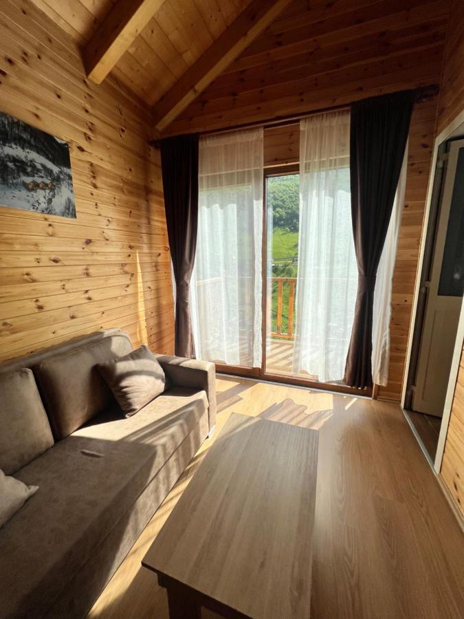 Bujtina Tradicionale Hotel Lepushe ภายนอก รูปภาพ